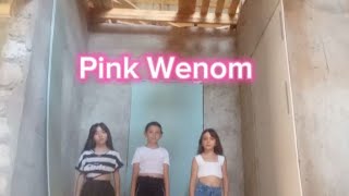 Blackpink Pink Venom dance practice [upl. by Wixted]