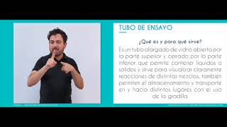 Tubo de Ensayo en lengua de señas chilena  Química Inclusiva [upl. by Miki951]