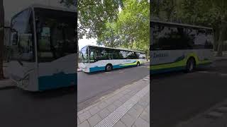 Hulst bus station Connexxion line 10 and 20  The Netherlands [upl. by Nylemaj]