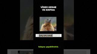 Video Kesme amp Kırpma [upl. by Zeculon]