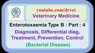 Enterotoxaemia Type B Part 4  diagnosis differential diagnosis treatment prevention control [upl. by Eldoria]