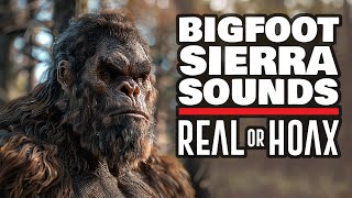 Sasquatch Sierra Sounds Voice of Bigfoot or Hoax Terrifying Screams in the Woods Explained [upl. by Jaella]