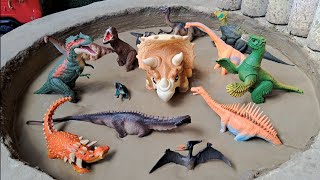 Dinossauros de Plástico Presos na Lama Apatossauro Brontossauro Braquiossauro Agustinia [upl. by Gizela]