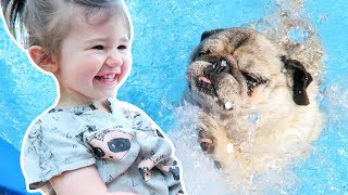 ❥ 495  SE JETER DANS LA PISCINE DEPUIS LE CAPOT DE LA VOITURE 😱  Milababychou vlog [upl. by Ennairak]