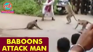 Baboons Attack Man  The Lallantop [upl. by Siloam]