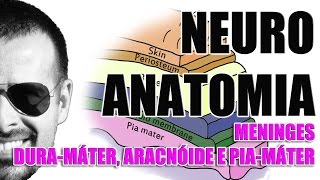 Meninges Duramáter aracnóide e piamáter  Sistema NervosoNeuroanatomia  Vídeo Aula 077 [upl. by Erdnassac]