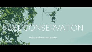 Lily Ichthyology  Freshwater Fish Conservation [upl. by Alak]