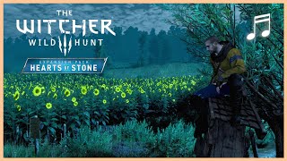 THE WITCHER Hearts of Stone Mix  Gaunter ODimm Olgierd  More  Gamerip OST [upl. by Vanhomrigh]