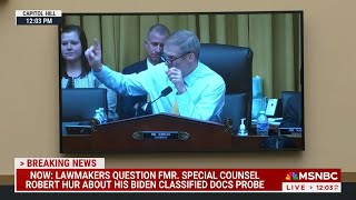 Rep Jim Jordan cuts off second supercut of Trump being hot mess in disastrous committee hearing [upl. by Nale955]