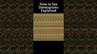 How to See Stereograms opticalillusions tips stereogram magiceye mushroom cute 3d [upl. by Stag484]