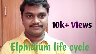 Elphidium life cycleDegree zoologyఎల్ఫిడియం జీవిత చక్రం [upl. by Eelarol]