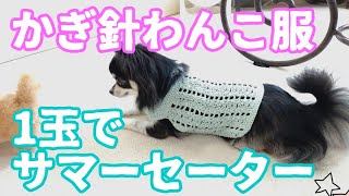 【かぎ針犬用セーター】とじはぎ無しでネックから編む簡単な犬用セーターを編んでみました [upl. by Dlorej]