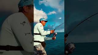 Jigging Maldives zenaq ikari kingstonfishing monsterfish bigfish fishing [upl. by Irahs]