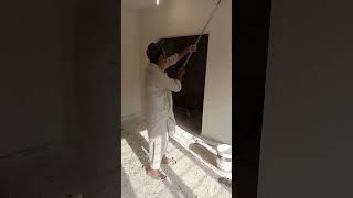 paint working roler paint shortvideo short field construction propainter783 shortvideo [upl. by Arvell]