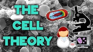 The Cell Theory  Complete Breakdown in 8 Minutes  Bio 101  STEMstream [upl. by Garbers]