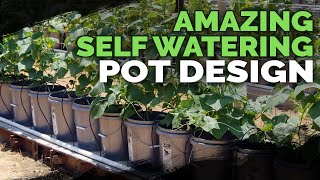 Best Self Watering Pot Design Ive Seen Yet [upl. by Assirim]