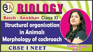 STRUCTURAL ORGANISATION IN ANIMALSMORPHOLOGY OF COCKROACH CLASS XI BIOLOGY NEET 2025 ANUBHAV [upl. by Bodkin]