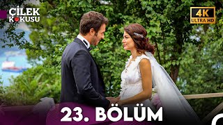 Çilek Kokusu 23 Bölüm 4K  FİNAL [upl. by Nnagem234]