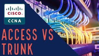 Cisco CCNA VLAN Access vs Trunk [upl. by Razaele]