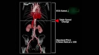 Adaptive Diagnostics vHP [upl. by Acirehs]