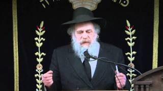 KINUS HASHLUCHIM  RABBI SCHOCHET [upl. by Eenat]