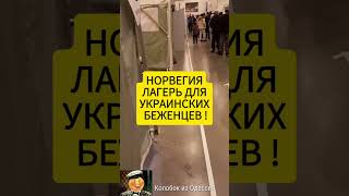 НОРВЕГИЯ ЛАГЕРЬ ДЛЯ УКРАИНСКИХ БЕЖЕНЦЕВ  trip норвегия УКРАИНСКИЕ БЕЖЕНЦЫ [upl. by Jeritah808]