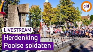 Herdenking Poolse militairen in Driel 2024  Omroep Gelderland [upl. by Sicular]