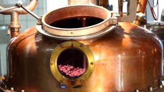 Distillazione vinacce di Amarone  Distilleria Marzadro [upl. by Seif]