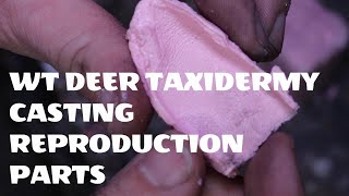 WT Deer Taxidermy How To Cast Reproduction Parts [upl. by Enyawed709]