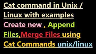 Cat command in Unix with Examples [upl. by Thurlough]