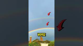 Ne vous éloignez jamais si vous voyez un arcenciel 🌈 [upl. by Greff]