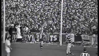 StKilda vs Geelong rd 16 1963 [upl. by Lebam]