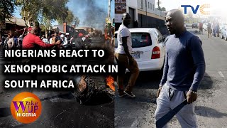 Updates On The Xenophobia Attacks in South Africa [upl. by Crutcher136]