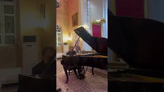 Ozgur Tuncer  Schumann Papillons op2 kısa kesit [upl. by Dawes]