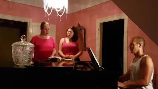 Robert Schumann 18101856 Der Abendschlummer aus quotDer Rose Pilgerfahrtquot op 112 [upl. by Fem]