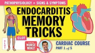 Endocarditis Pathophysiology signs and symptoms for nursing students NCLEX review [upl. by Inobe]