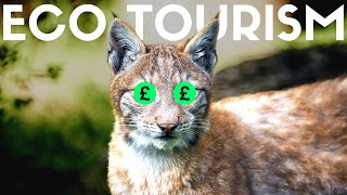 The Lynx Will Make The UK Millions  heres how [upl. by Nyraf712]