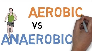 AEROBIC vs ANAEROBIC DIFFERENCE [upl. by Fesoy]