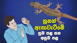 හූනන් ඇඟවැටීමේ සුබ අසුබ  Hunan Aga Watime Palapala [upl. by Miahc]