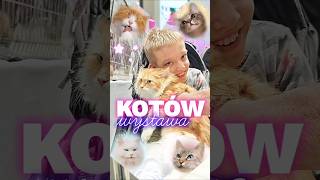 😸 Najlepszy kot CAT EXPO 🐈wrocław chrupektv [upl. by Edgar]