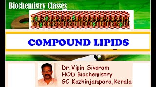 Compound Lipids [upl. by Poock155]