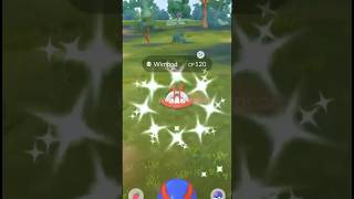 ✨This SHINY Pokemon Caught Me Off Guard in Pokemon Go✨ shorts pokemon [upl. by Eisso515]