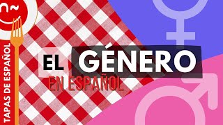 Género masculino y femenino en español  Gender in Spanish [upl. by Anoet]