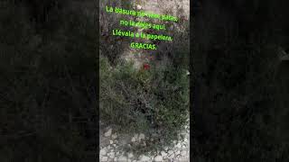 ♻️ Otra vez 🥤🚮 ¡Residuos tras el botellón en Serra Grossa 😕 [upl. by Esinahs]