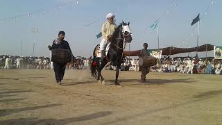 Traditional Multani Horse Walk At Hazrat Sultan Ayoub Qattal RA annual festival Dunyapur Lodhran [upl. by Arodaeht]