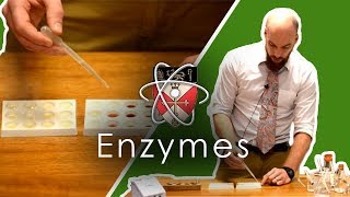 Enzymes  GCSE Science Required Practical [upl. by Nicola]