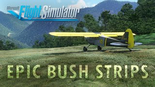 Epic Bush Airports in Microsoft Flight Simulator 1 [upl. by Airtened]