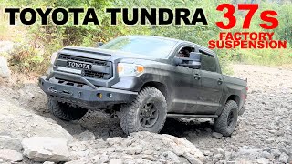 Tundra OffRoading on 37 Inch Tires BFGoodrich KM3 37x1250r17 MudTerrain on Stock Suspension [upl. by Stinky]