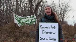 Save Fairview Forest [upl. by Nelo]