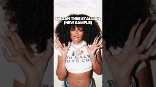 Sample Breakdown Megan thee Stallion BAS [upl. by Shaeffer]